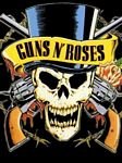 pic for guns ands roses